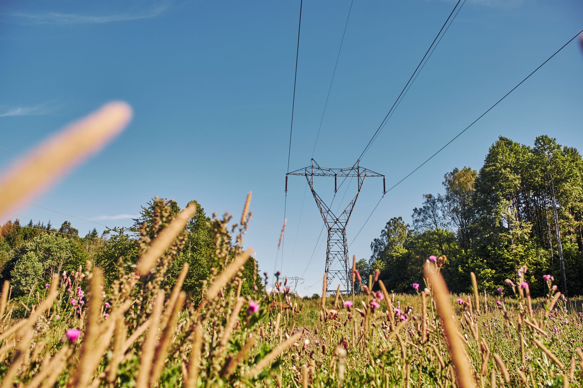 Illustration Summer meadow and pylons