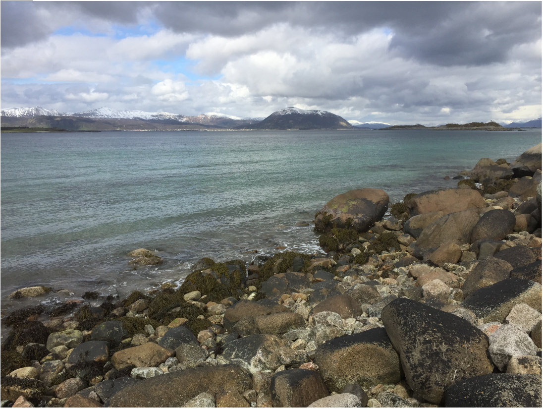Shore and stones