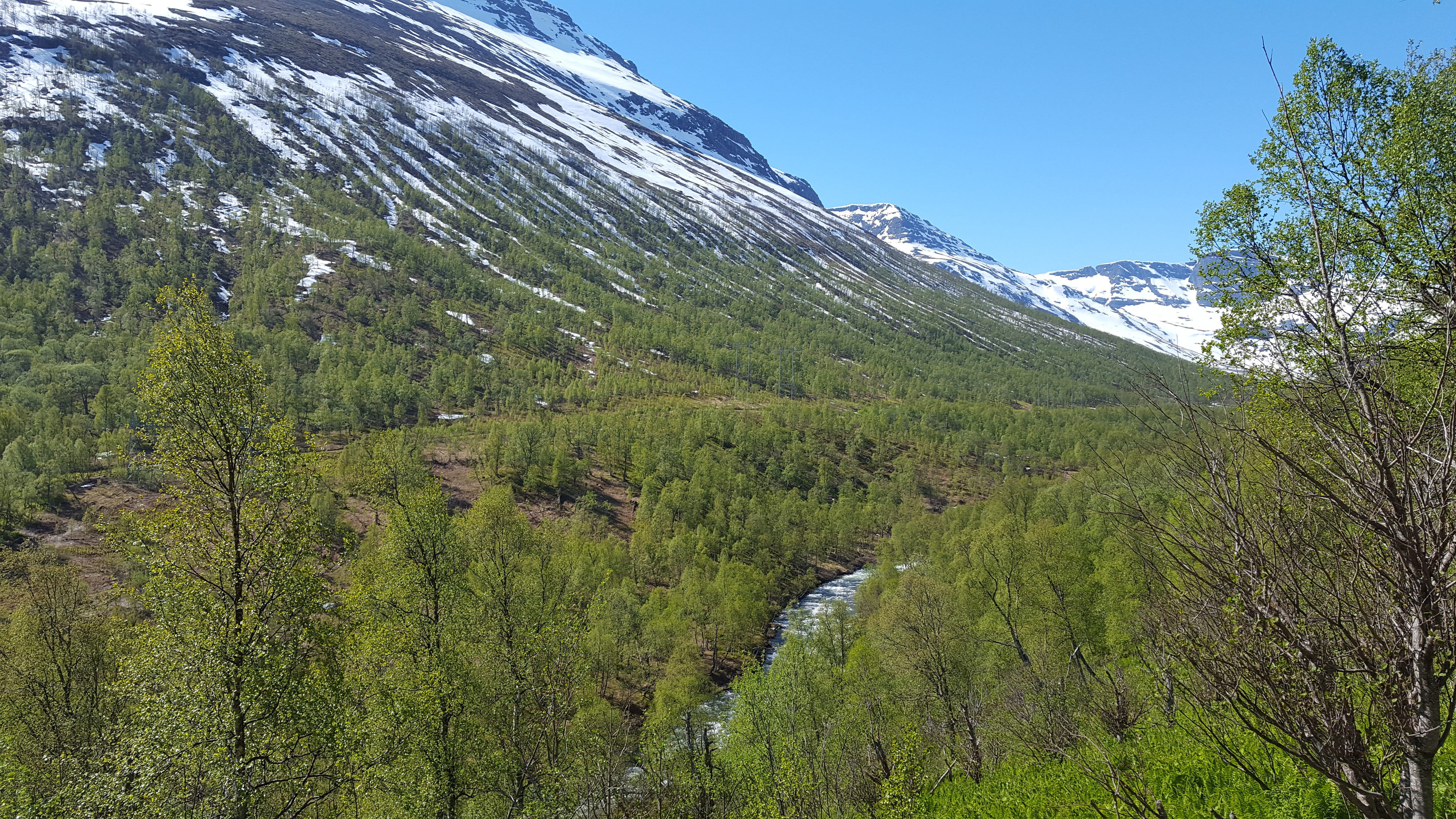 Illustrasjonsbilde for Ofoten-Balsfjord