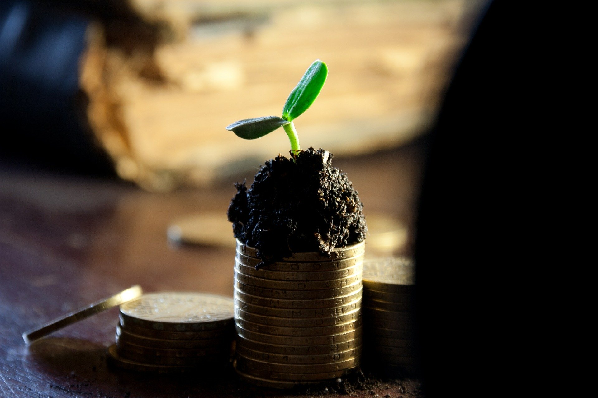 Illustration, green leaves growing on top of money